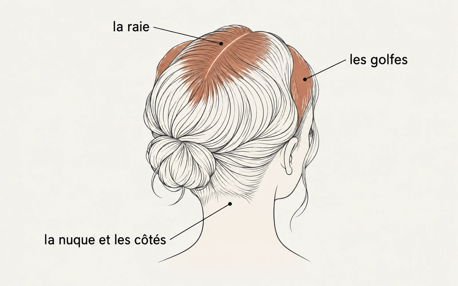 Trois zones, trois comportements différents.